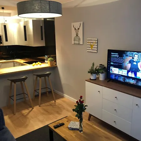 Smart & Exclusive- Zabiniec Apartment *